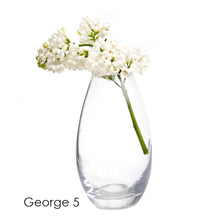 Load image into Gallery viewer, Glass Bud Vases