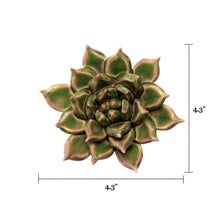 Load image into Gallery viewer, Ceramic Succulent