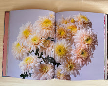 Load image into Gallery viewer, Chrysanthemums