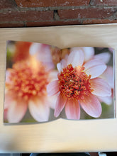 Load image into Gallery viewer, Dahlias: Beautiful Varieties for Home + Garden