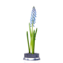 Load image into Gallery viewer, Ikebana Floral Frogs