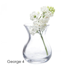 Load image into Gallery viewer, Glass Bud Vases