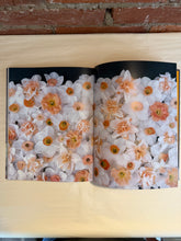 Load image into Gallery viewer, Daffodils