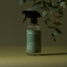 Load image into Gallery viewer, Laundry Stain Spray