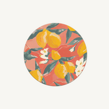 Load image into Gallery viewer, Illustrated Coasters