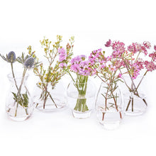 Load image into Gallery viewer, Glass Bud Vases