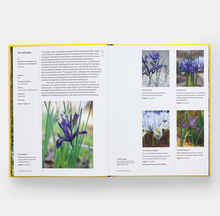 Load image into Gallery viewer, Year in Bloom: Flowering Bulbs for Every Season
