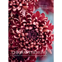 Load image into Gallery viewer, Chrysanthemums