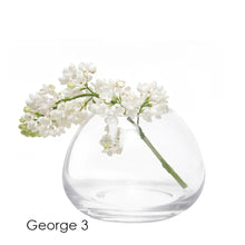 Load image into Gallery viewer, Glass Bud Vases