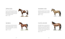 Load image into Gallery viewer, Book page with illustrations of different horse breeds on a white background