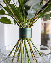 Load image into Gallery viewer, Hanataba Bouquet Twister - Ivy Green