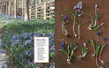 Load image into Gallery viewer, Martha Stewart's Gardening Handbook

