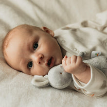 Load image into Gallery viewer, Little Bunny Rattle

