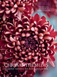 Chrysanthemums