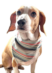 Dog Bandana in Stripe Pendleton