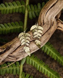 Fern earrings