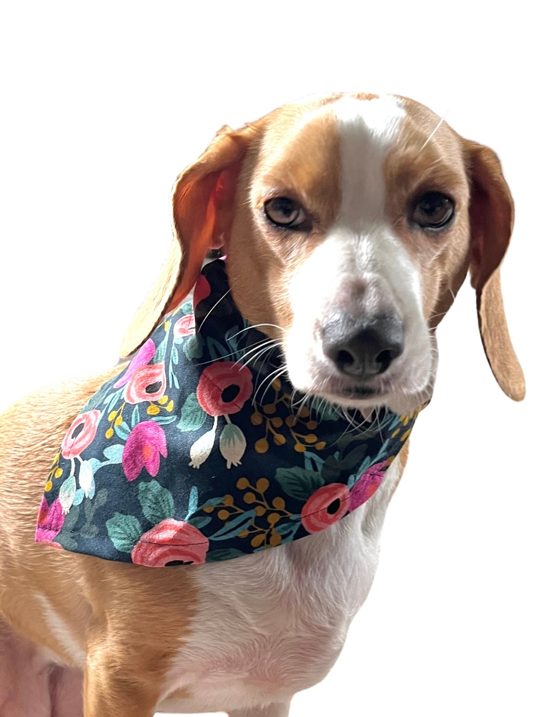 Dog Bandana in Dark Floral