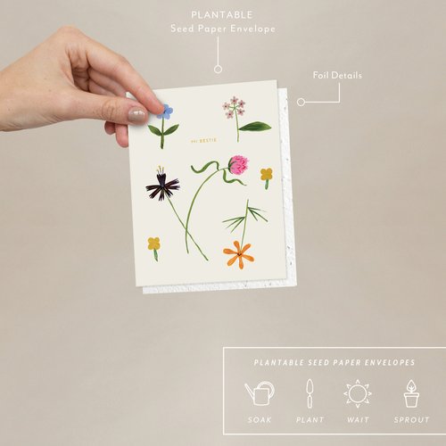 Petals Just to Say Hi Card