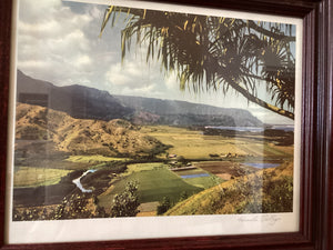 Hana Lei Valley Print