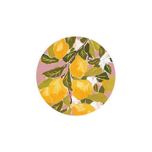 Load image into Gallery viewer, Illustrated Coasters
