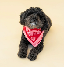 Load image into Gallery viewer, A black curly-haired dog wearing a red and pink bandana with white floral patterns, posed against a solid light beige background.
