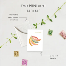 Load image into Gallery viewer, Sprouts Mini Greeting Cards
