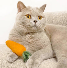 Load image into Gallery viewer, Kitty Carrot
