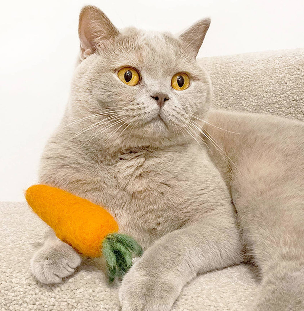 Kitty Carrot