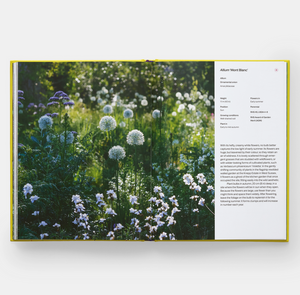 Year in Bloom: Flowering Bulbs for Every Season
