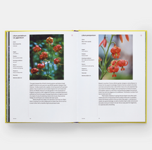 Load image into Gallery viewer, Year in Bloom: Flowering Bulbs for Every Season
