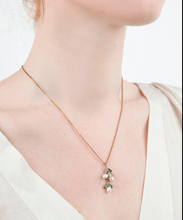 Load image into Gallery viewer, Boxwood necklace
