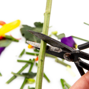 Mini Plant Clippers