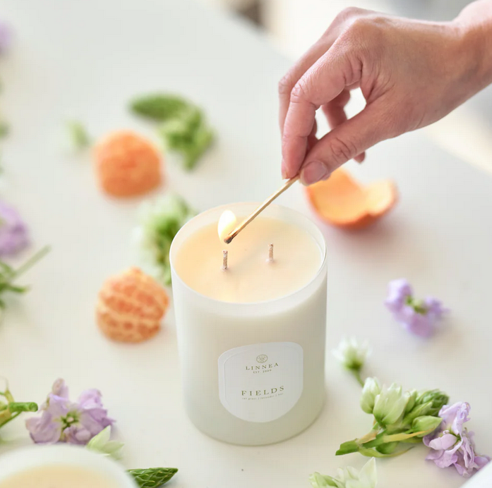 Fields candle