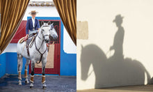Load image into Gallery viewer, Man riding a white horse in front of a colorful wall with a shadow of the rider on the wall.
