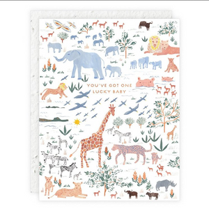 Sprouts Mini Greeting Cards