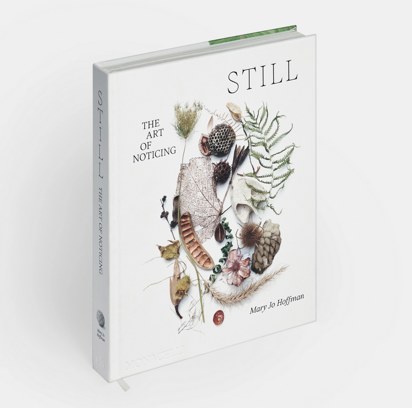 Still: The Art of Noticing