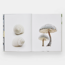 Load image into Gallery viewer, Still: The Art of Noticing
