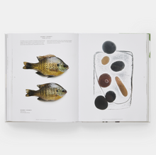 Load image into Gallery viewer, Still: The Art of Noticing
