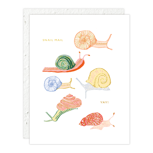 Snails card