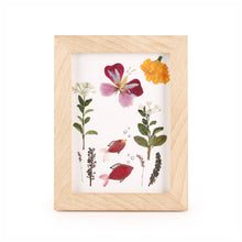 Load image into Gallery viewer, Pressed Flower Frame Kit
