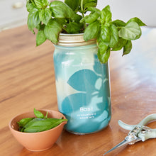 Load image into Gallery viewer, Herb Garden Jar Kits
