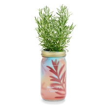 Load image into Gallery viewer, Herb Garden Jar Kits
