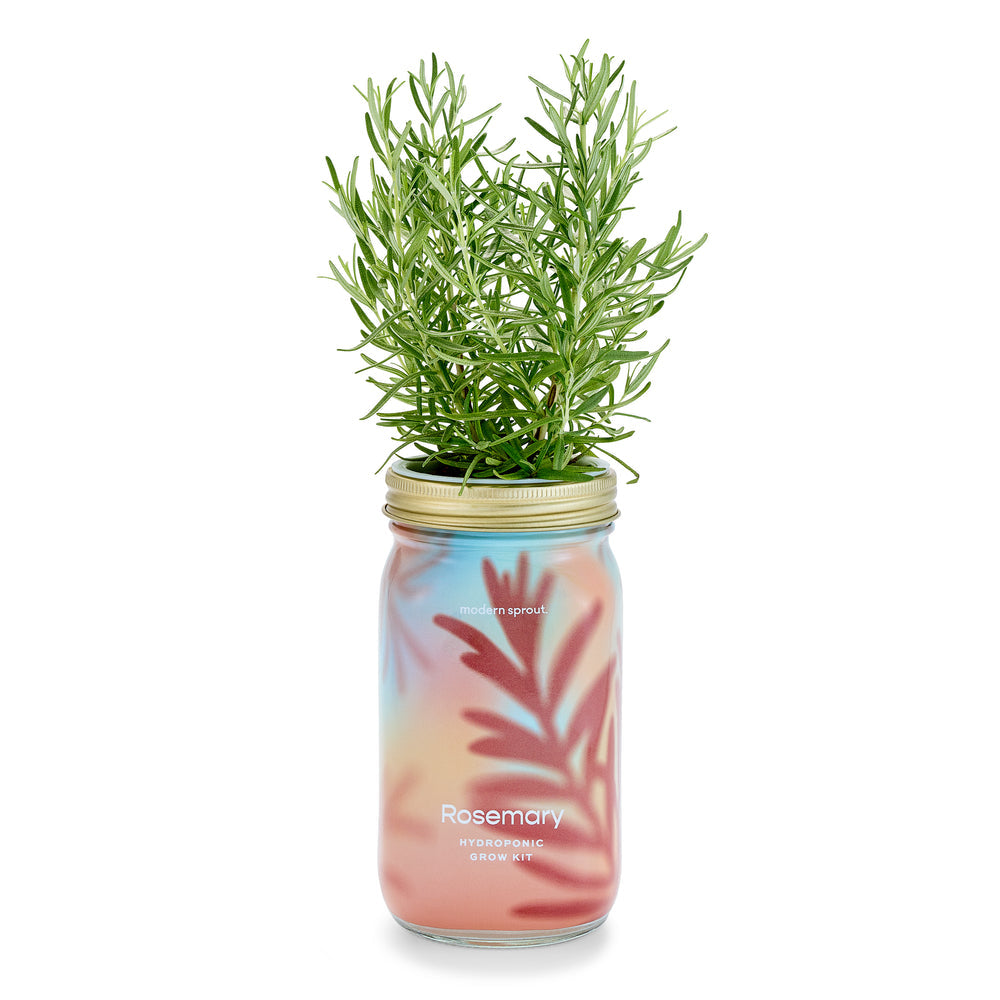 Herb Garden Jar Kits