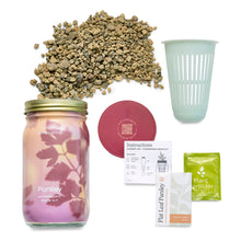 Load image into Gallery viewer, Herb Garden Jar Kits
