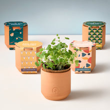 Load image into Gallery viewer, Tiny Terracotta Grow Kit
