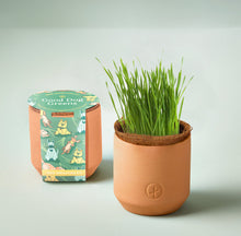 Load image into Gallery viewer, Tiny Terracotta Grow Kit
